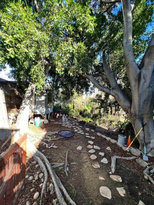 Central San Diego Lower Duplex, Huge Yard, Fenced מראה חיצוני תמונה